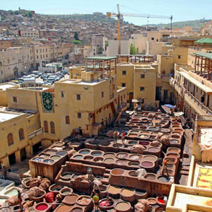 Fez Medina